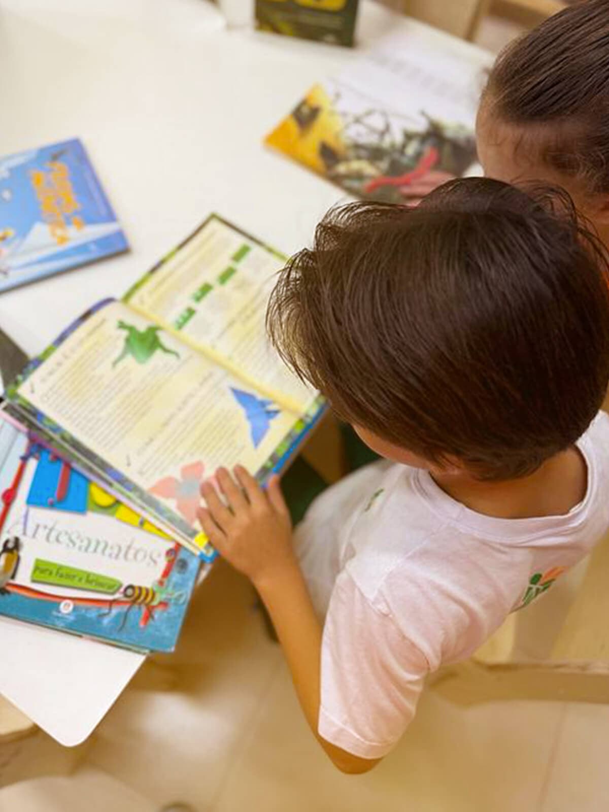 Proposta Curricular