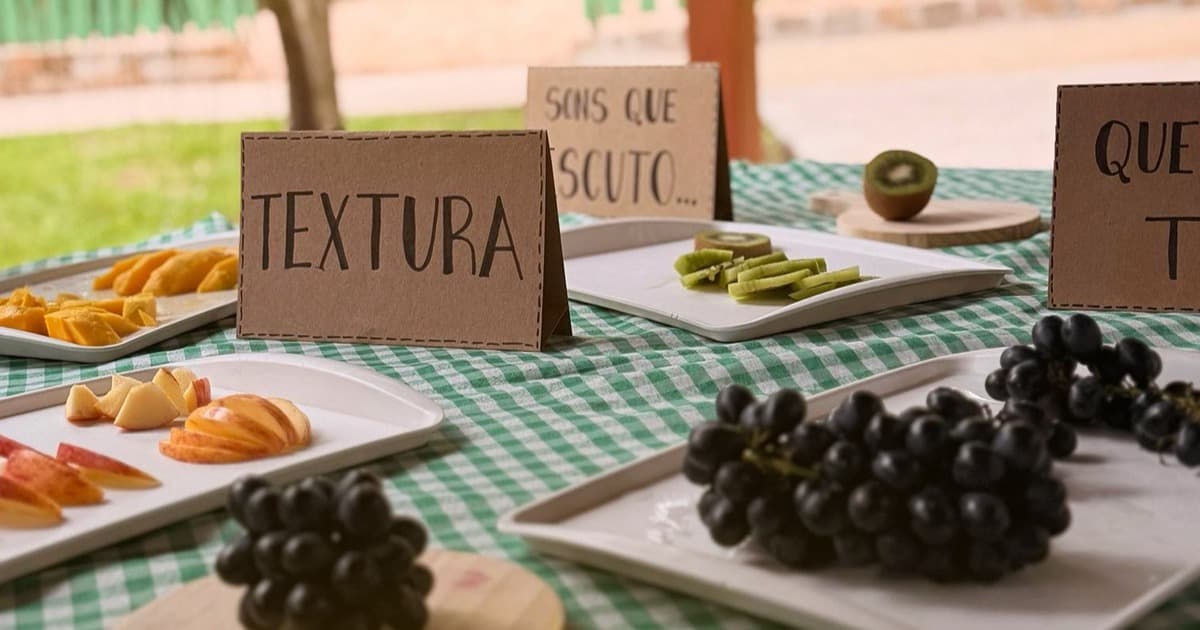 Mesa com frutas variadas organizadas para uma atividade sensorial sobre texturas e sabores.